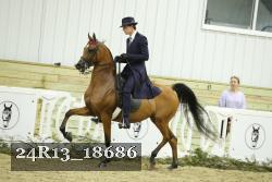 24R13_18686 thumbnail