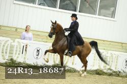 24R13_18687 thumbnail