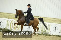 24R13_18689 thumbnail