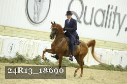 24R13_18690 thumbnail