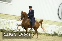 24R13_18691 thumbnail