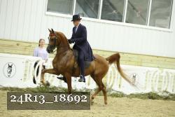 24R13_18692 thumbnail