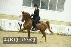 24R13_18693 thumbnail
