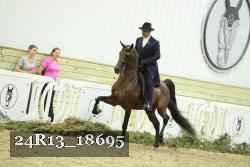24R13_18695 thumbnail