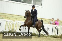 24R13_18696 thumbnail