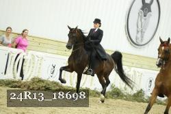 24R13_18698 thumbnail