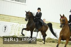 24R13_18699 thumbnail