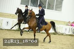 24R13_18700 thumbnail