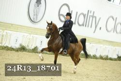 24R13_18701 thumbnail