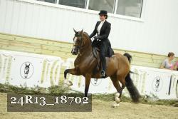 24R13_18702 thumbnail