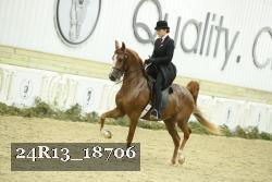 24R13_18706 thumbnail