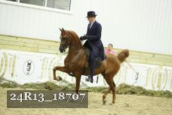 24R13_18707 thumbnail