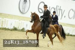 24R13_18708 thumbnail
