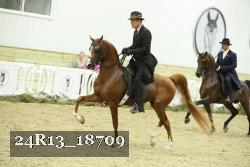 24R13_18709 thumbnail