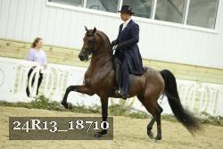 24R13_18710 thumbnail