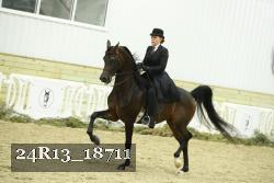 24R13_18711 thumbnail