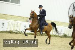 24R13_18714 thumbnail