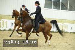 24R13_18716 thumbnail