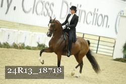 24R13_18718 thumbnail