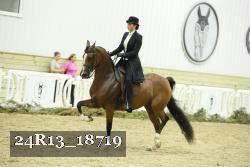 24R13_18719 thumbnail