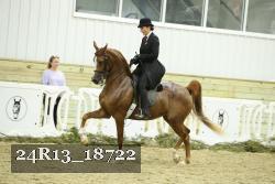 24R13_18722 thumbnail