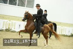 24R13_18726 thumbnail