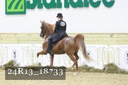 24R13_18733 thumbnail