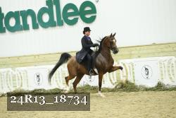 24R13_18734 thumbnail