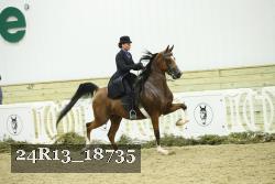 24R13_18735 thumbnail