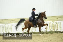 24R13_18736 thumbnail