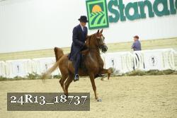 24R13_18737 thumbnail