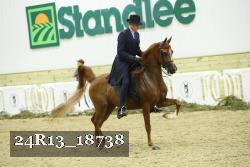 24R13_18738 thumbnail