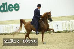 24R13_18739 thumbnail