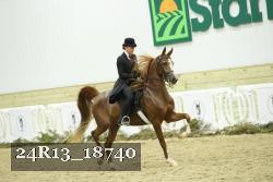 24R13_18740 thumbnail