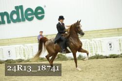 24R13_18741 thumbnail