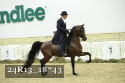 24R13_18743 thumbnail