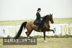 24R13_18744 thumbnail