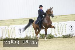 24R13_18745 thumbnail