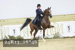 24R13_18746 thumbnail