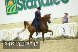 24R13_18747 thumbnail