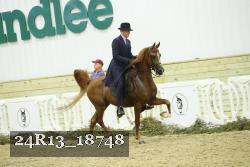 24R13_18748 thumbnail