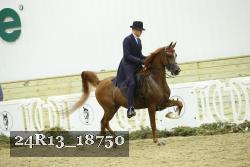 24R13_18750 thumbnail