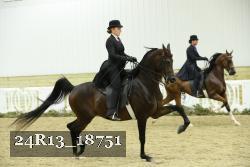 24R13_18751 thumbnail