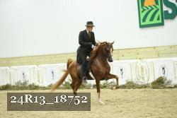 24R13_18752 thumbnail
