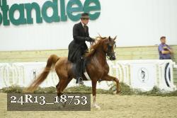 24R13_18753 thumbnail