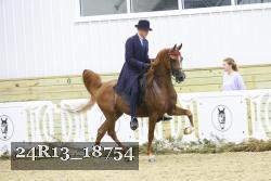 24R13_18754 thumbnail