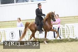 24R13_18755 thumbnail