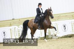 24R13_18757 thumbnail