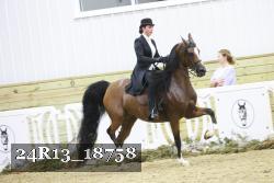 24R13_18758 thumbnail