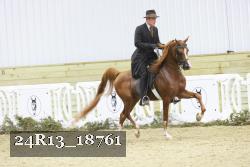 24R13_18761 thumbnail